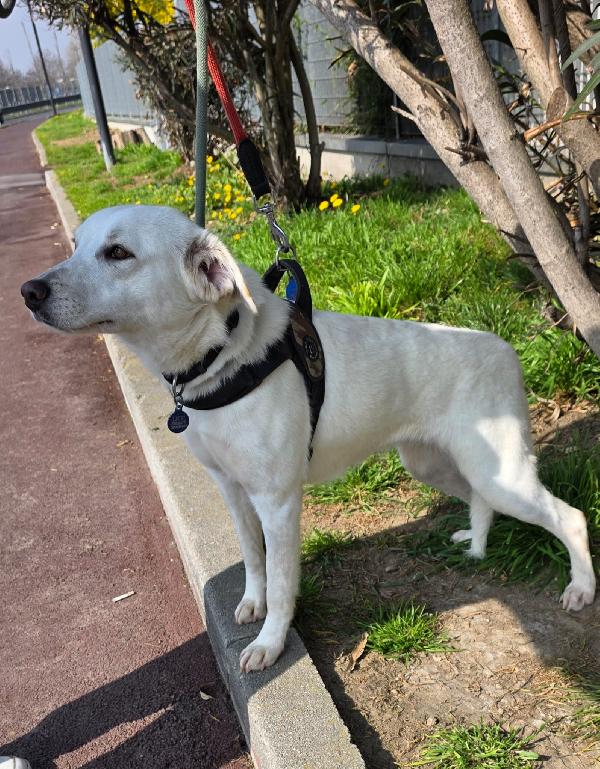 ALICE CAGNOLINA DELIZIOSA Foto 3